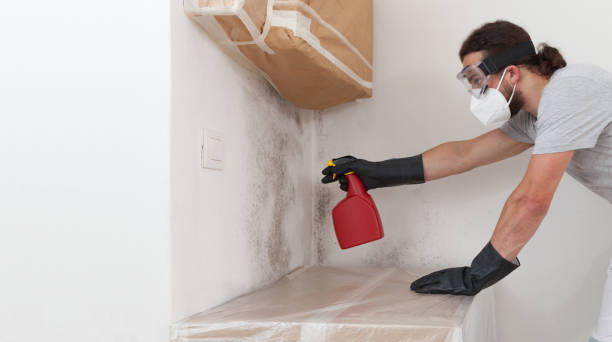 Professional Crawl Space Mold Remediation technician working in Audubon, NJ