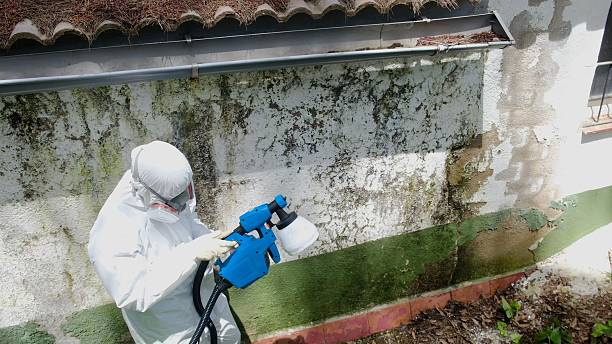 Top rated local Crawl Space Mold Remediation specialists in Audubon, NJ